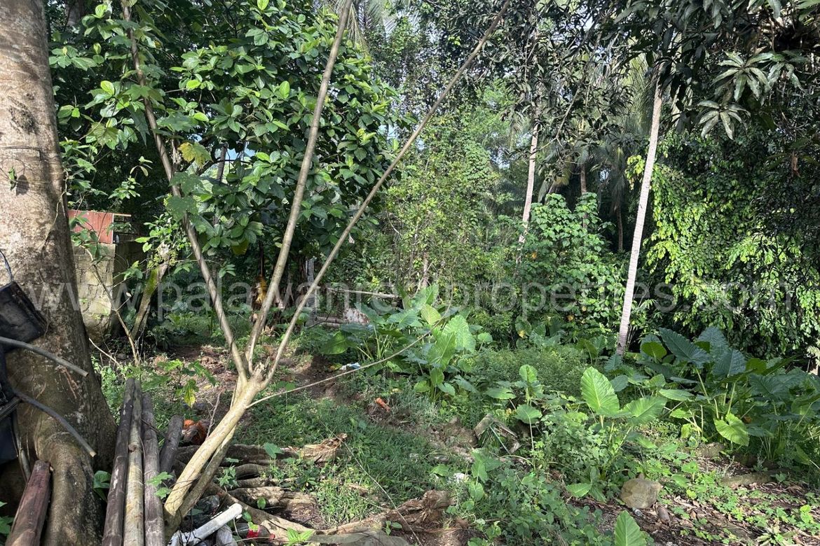 Land for Sale in Sicsican, Puerto Princesa, Palawan – photo 2