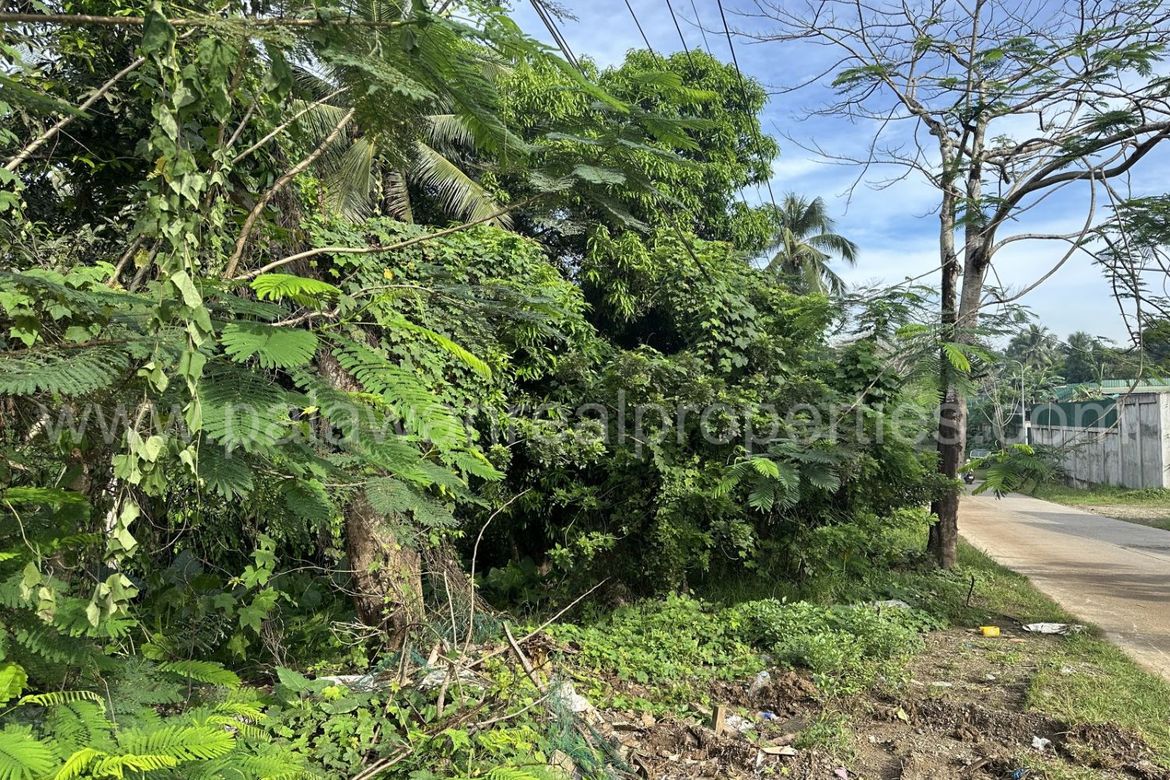 Land for Sale in Sicsican, Puerto Princesa, Palawan – photo 3