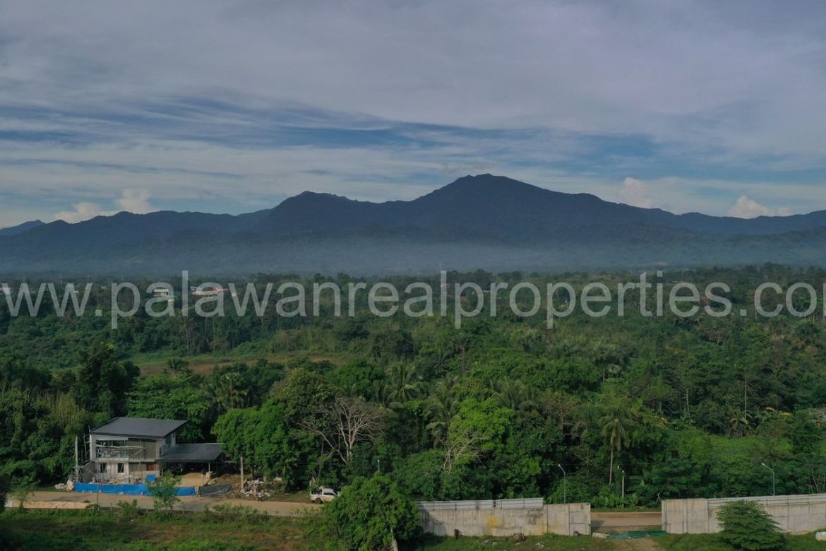 Land for Sale in Sicsican, Puerto Princesa, Palawan – photo 8