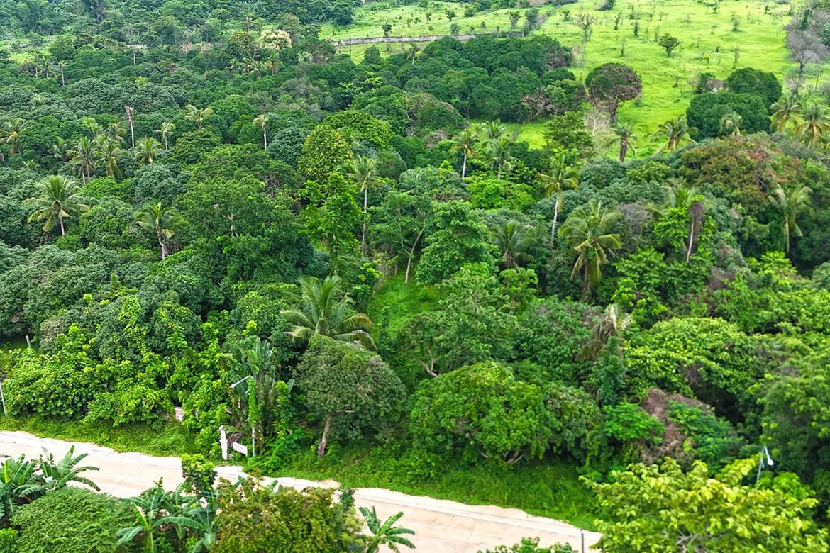 Land for Sale in Sicsican, Puerto Princesa, Palawan – photo 6
