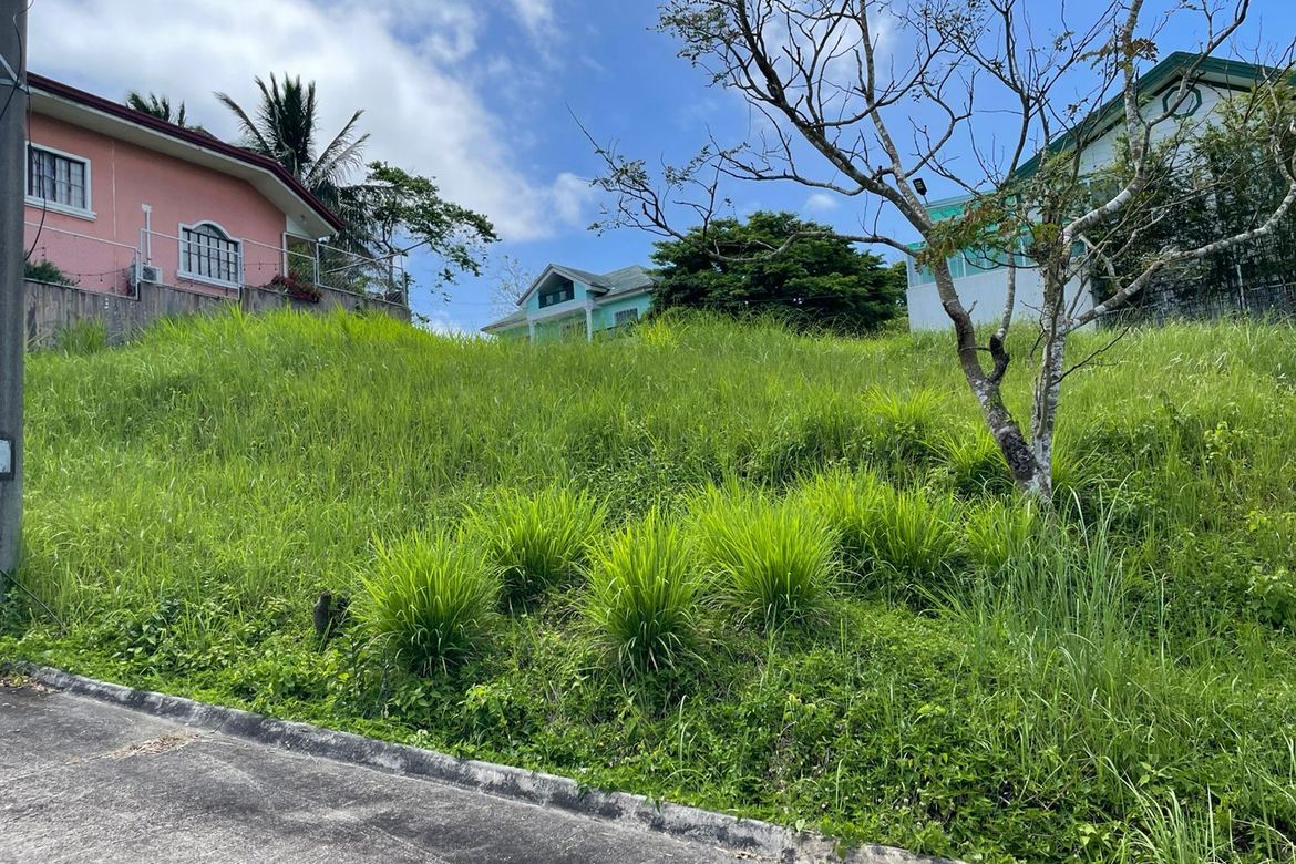 Land for Sale in Silang Junction North, Tagaytay, Cavite – photo 4