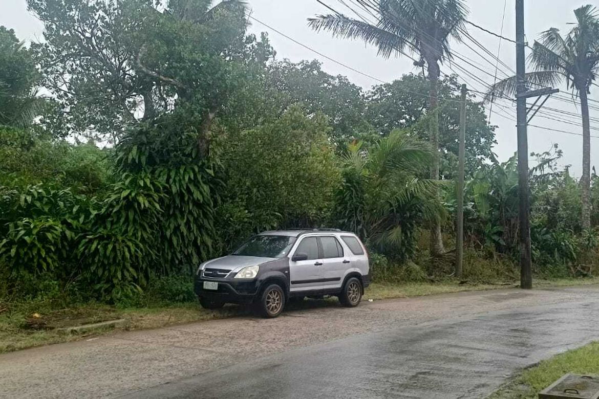 Land for Sale in Silang Junction North, Tagaytay, Cavite
