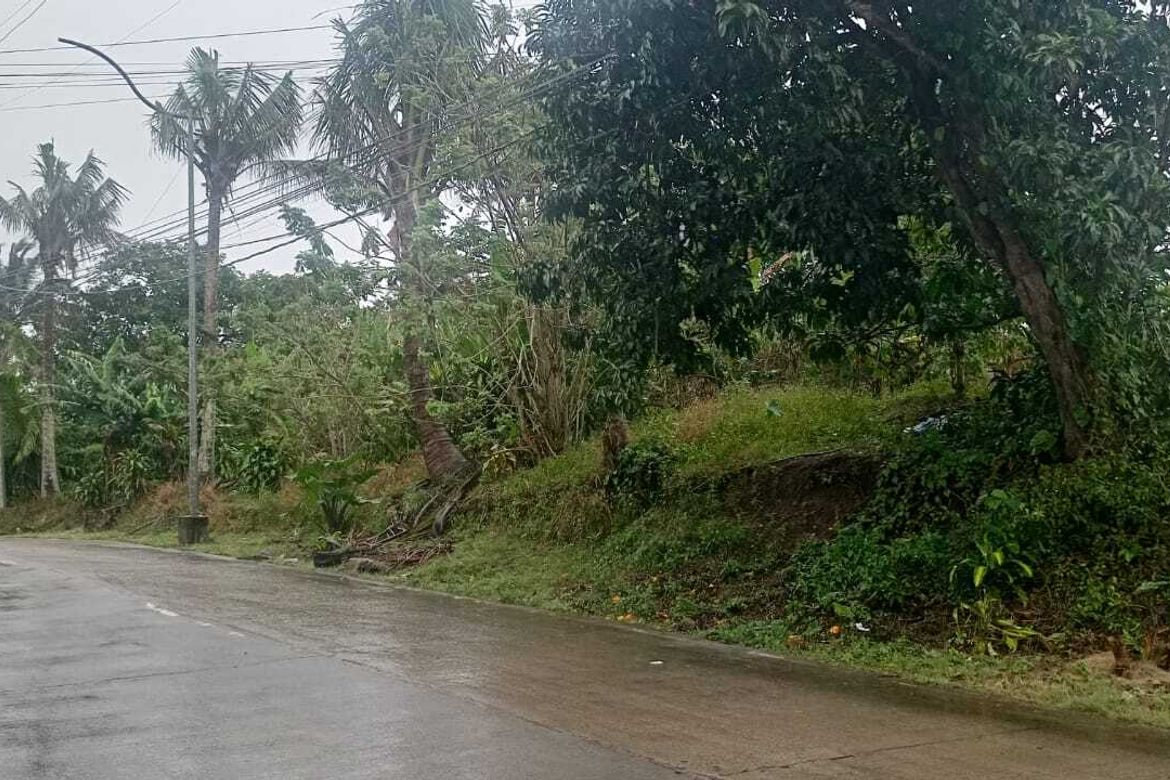 Land for Sale in Silang Junction North, Tagaytay, Cavite – photo 4