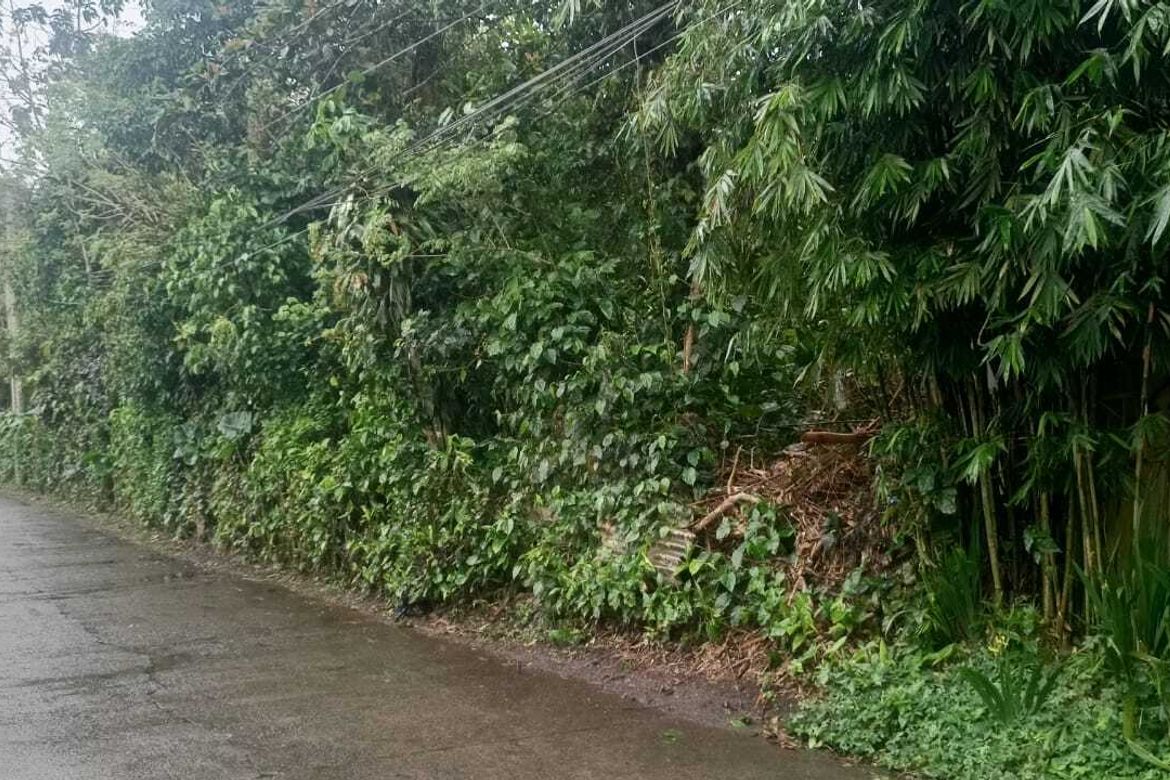 Land for Sale in Silang Junction North, Tagaytay, Cavite