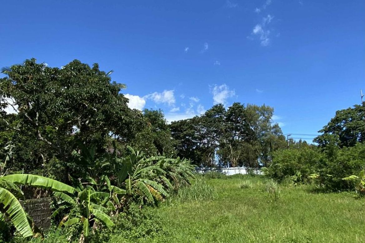 Land for Sale in Silang Junction North, Tagaytay, Cavite