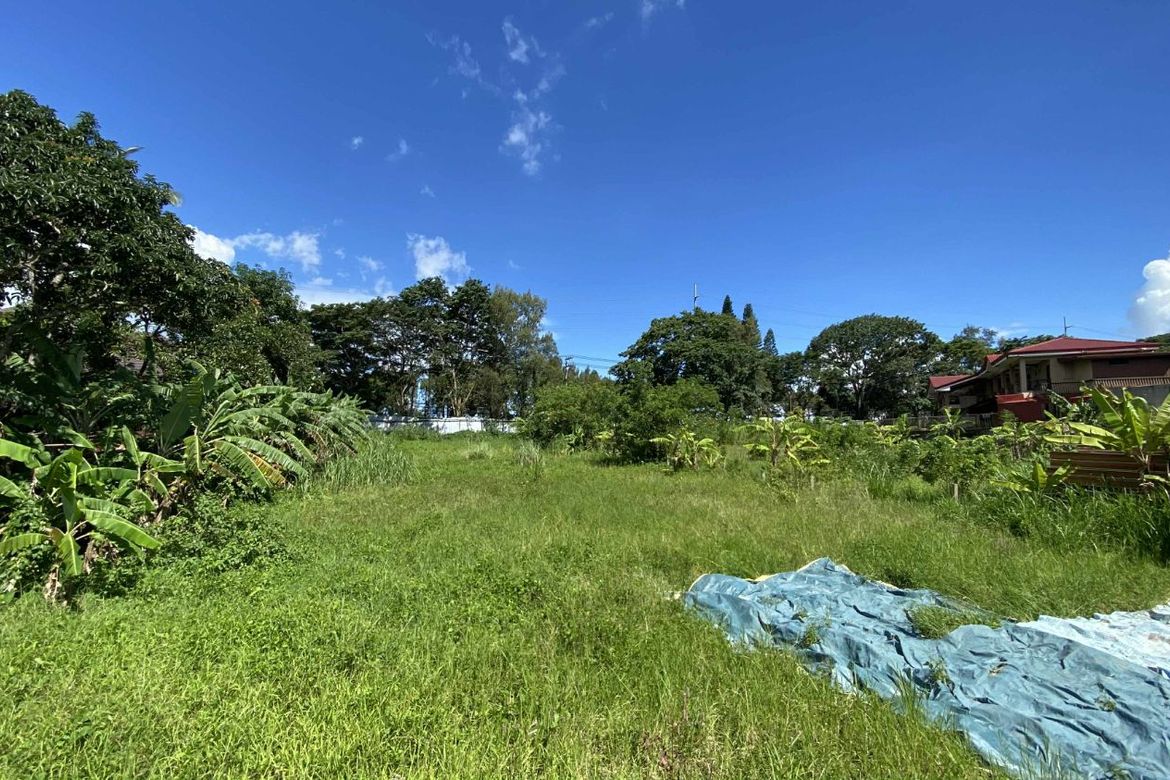 Land for Sale in Silang Junction North, Tagaytay, Cavite – photo 3