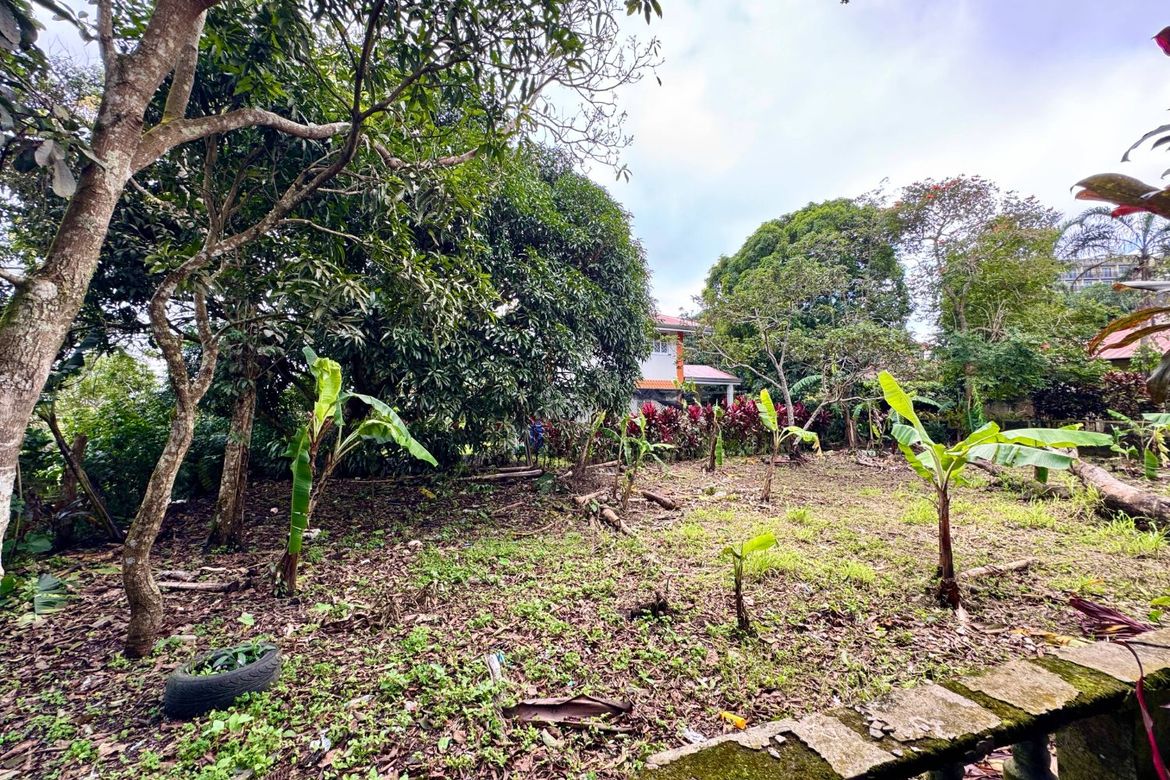 Land for Sale in Silang Junction North, Tagaytay, Cavite