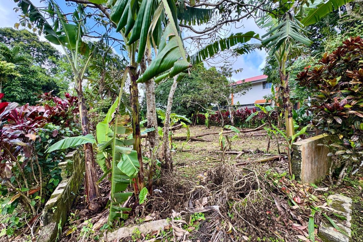 Land for Sale in Silang Junction North, Tagaytay, Cavite – photo 3