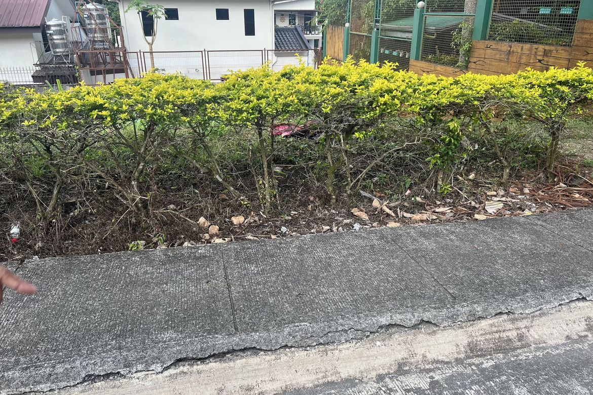 Land for Sale in Silang Junction North, Tagaytay, Cavite