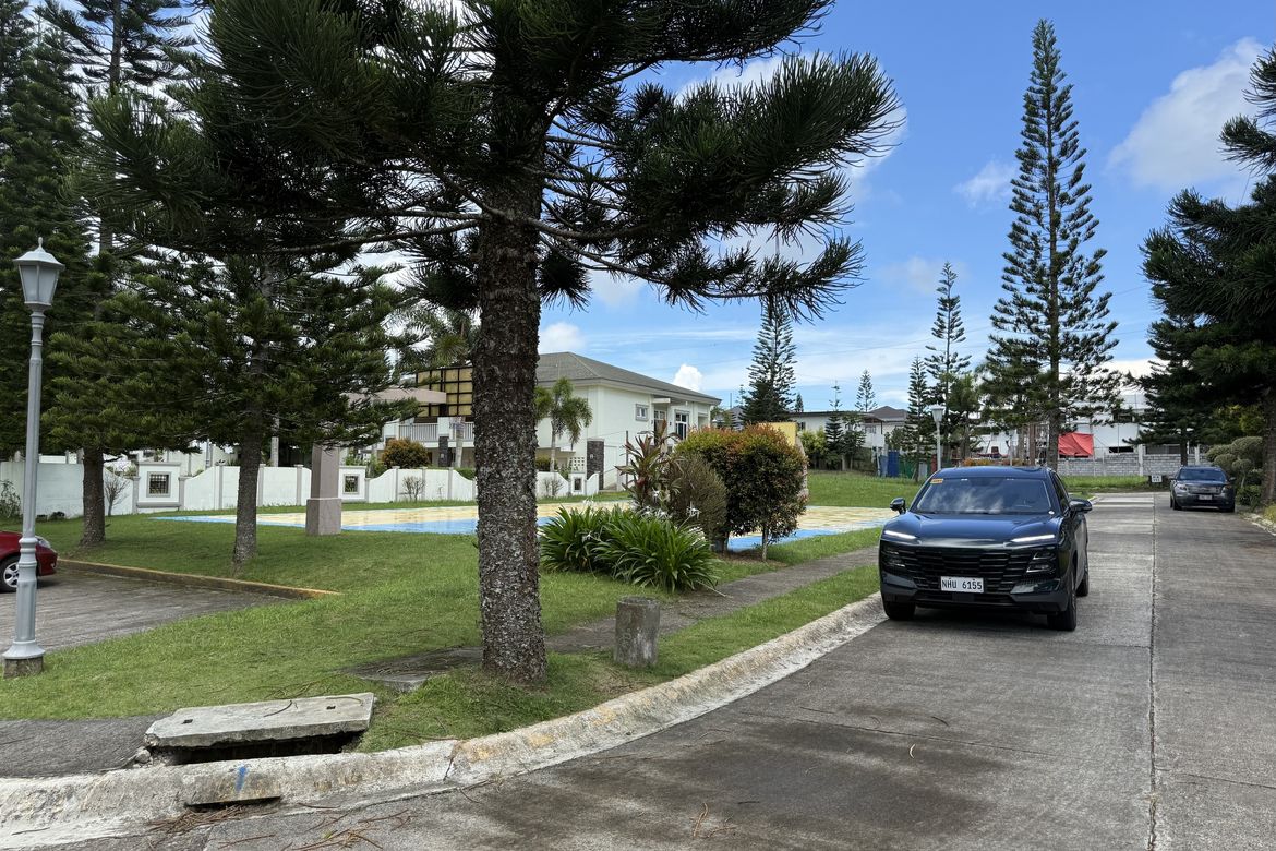 Land for Sale in Silang Junction North, Tagaytay, Cavite – photo 6