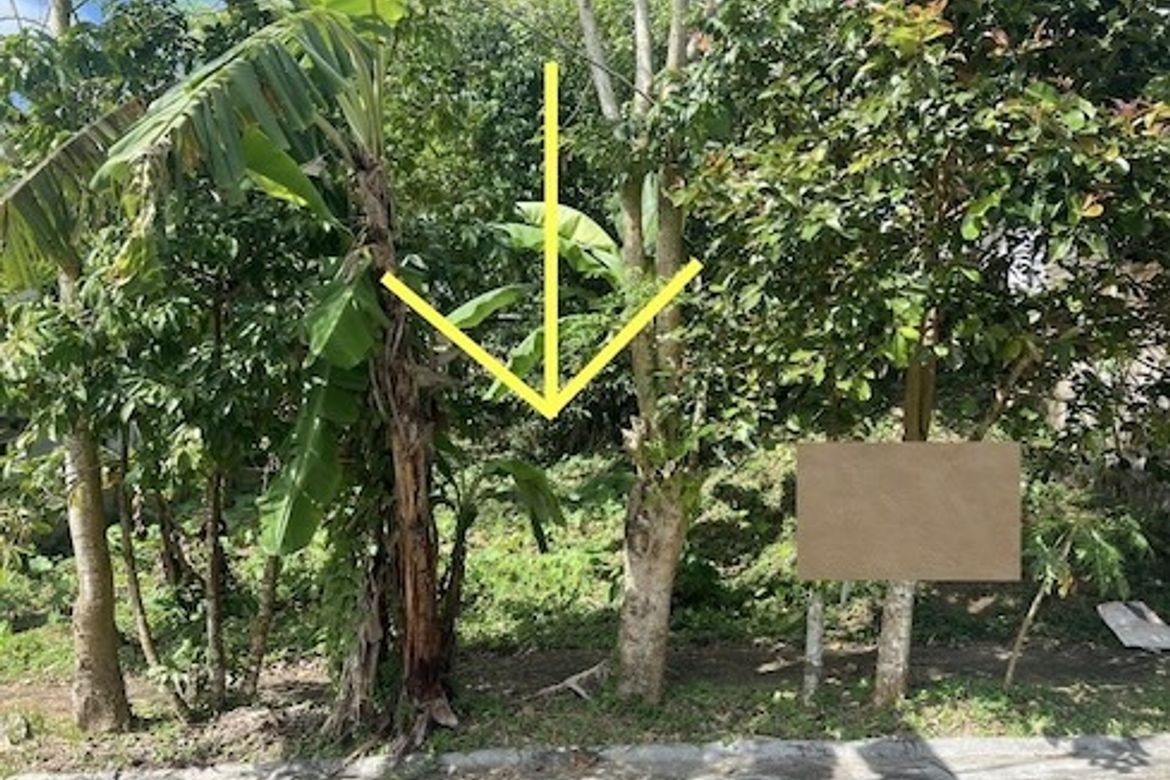 Land for Sale in Silang Junction North, Tagaytay, Cavite