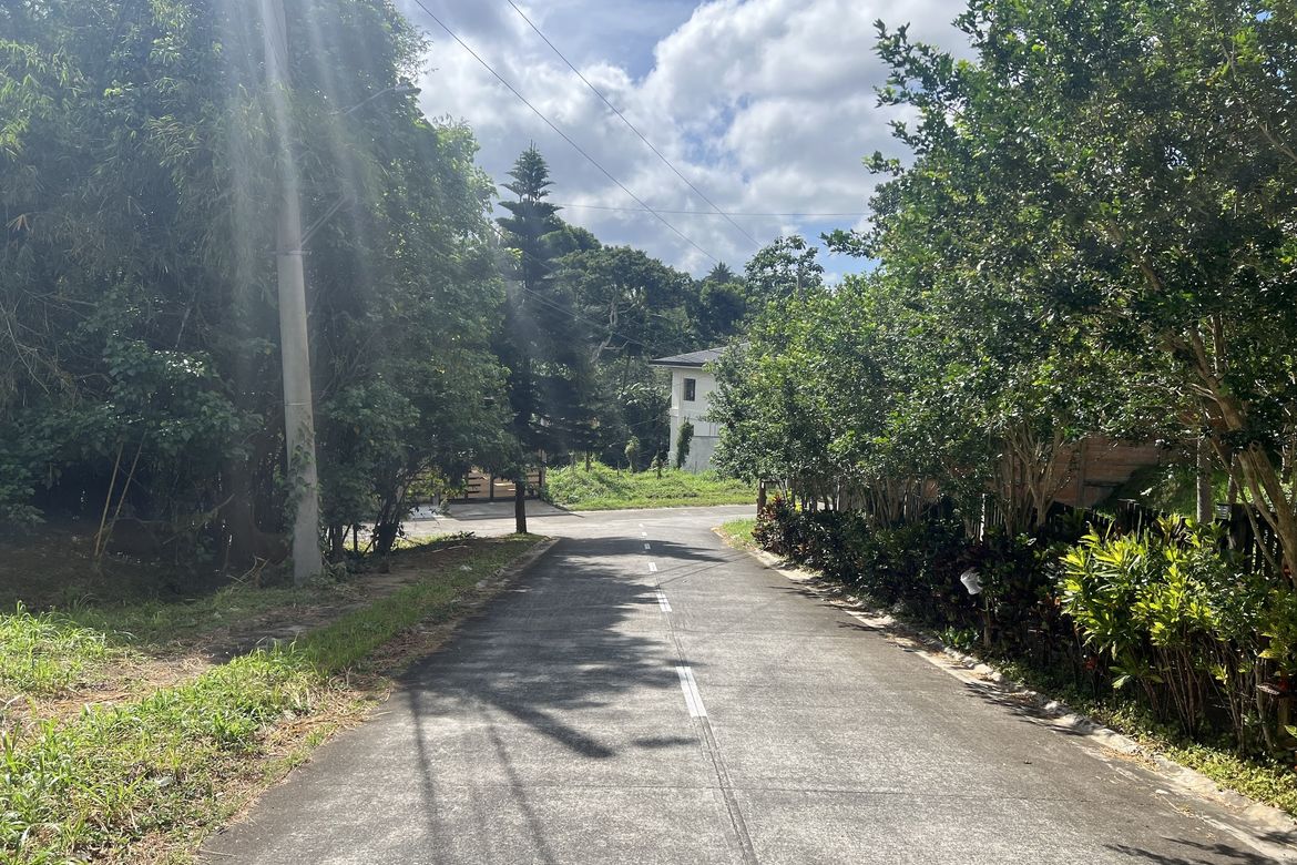 Land for Sale in Silang Junction North, Tagaytay, Cavite – photo 4