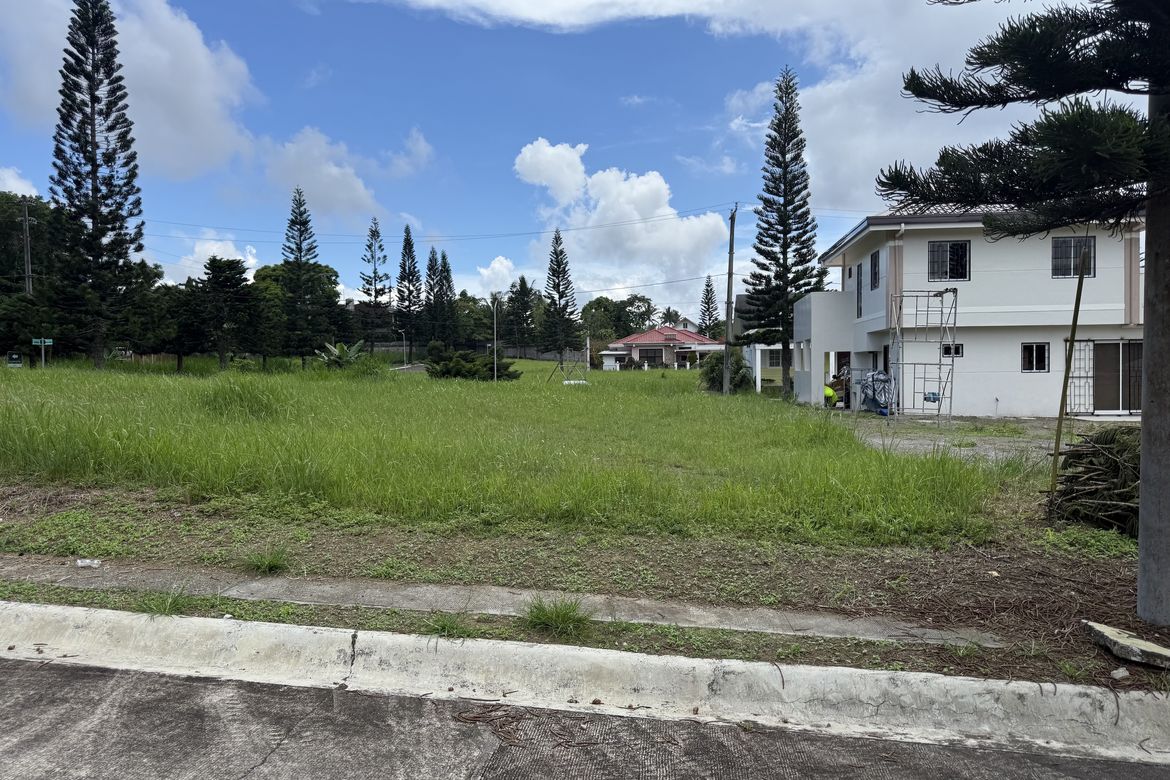 Land for Sale in Silang Junction North, Tagaytay, Cavite – photo 2