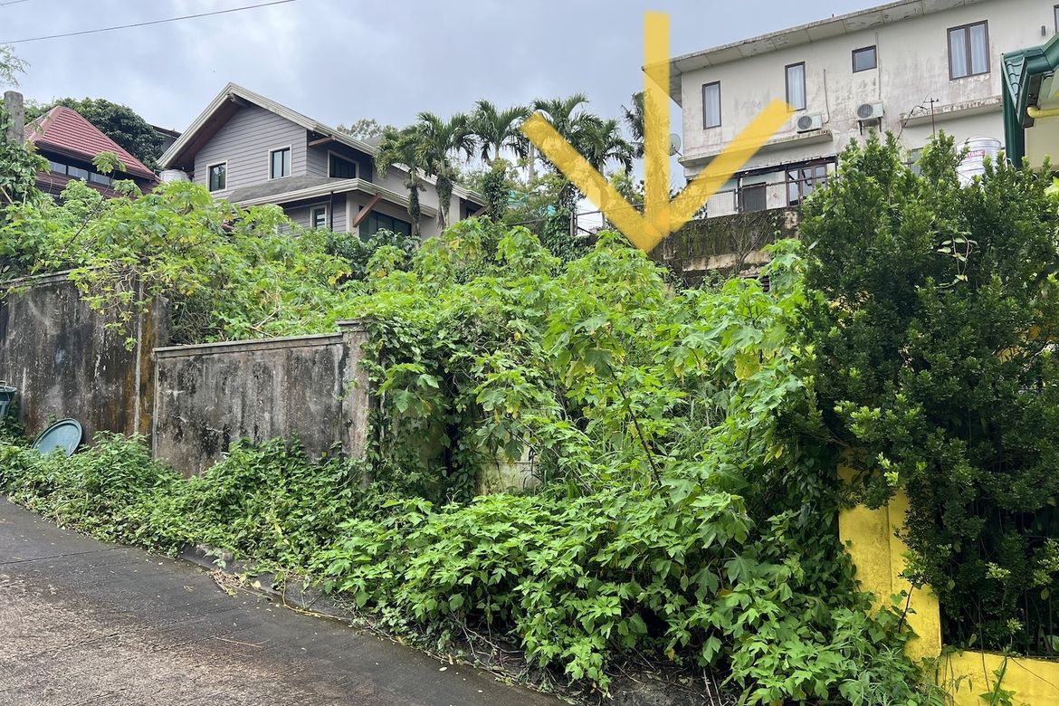 Land for Sale in Silang Junction North, Tagaytay, Cavite – photo 2
