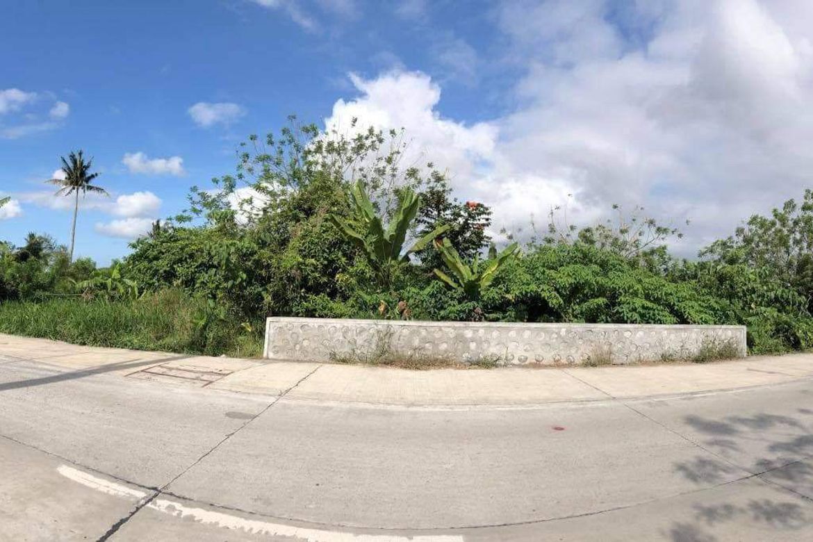 Land for Sale in Silang Junction North, Tagaytay, Cavite – photo 6