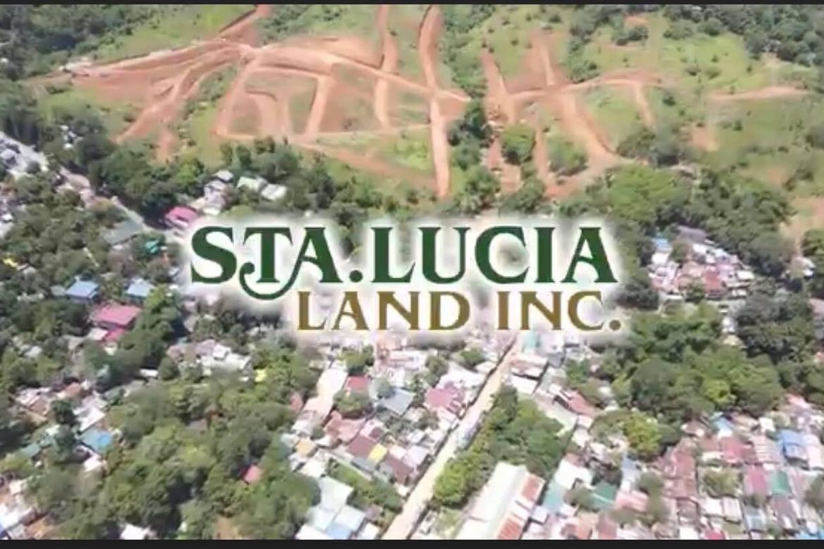 Land for Sale in Silangan, San Mateo, Rizal – photo 3