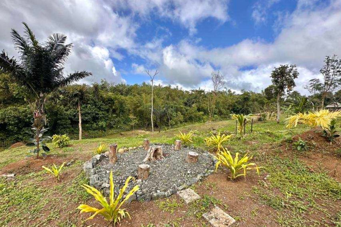 Land for Sale in Silangan Talaongan, Cavinti, Laguna – photo 3