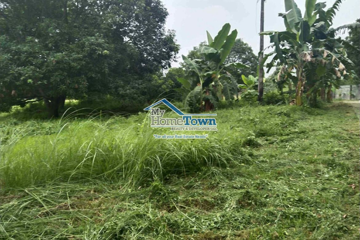 Land for Sale in Siling Bata, Pandi, Bulacan