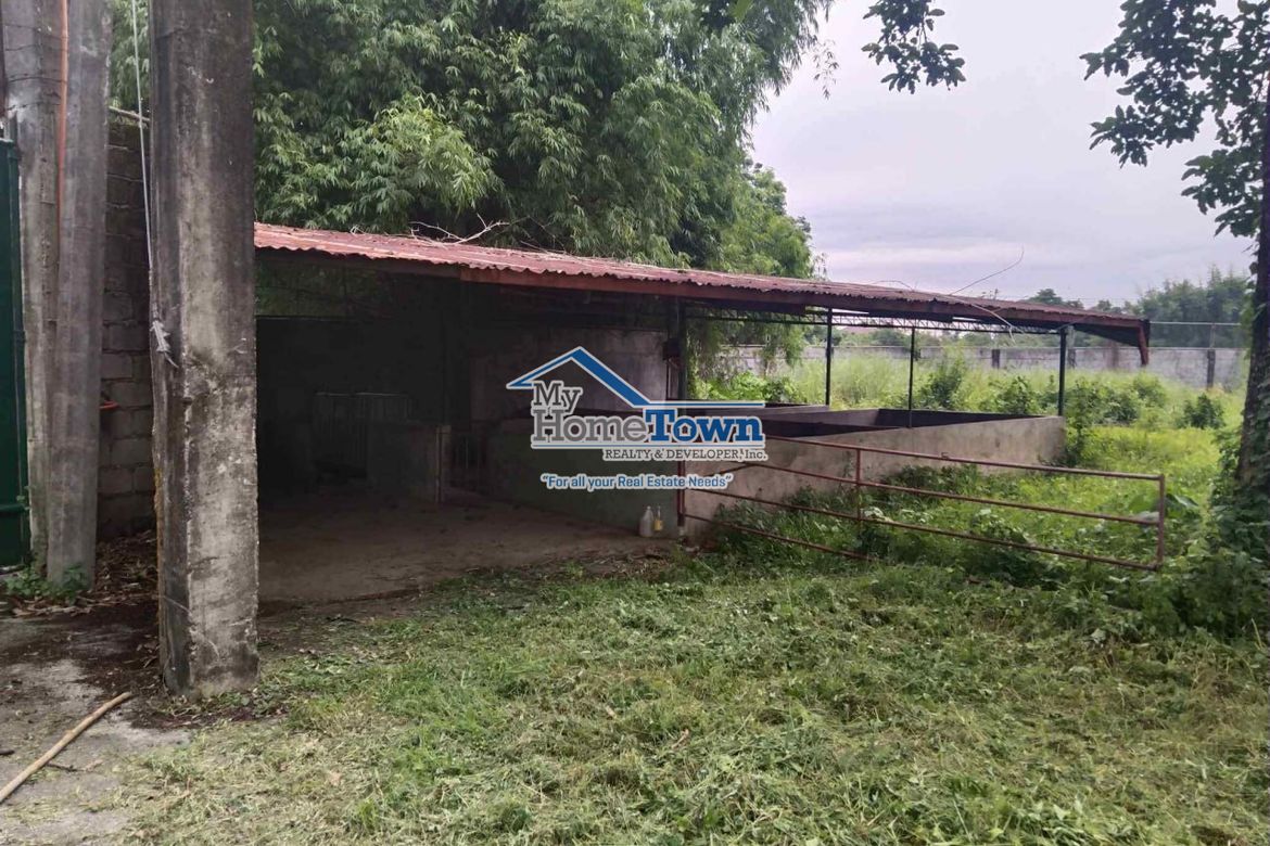 Land for Sale in Siling Bata, Pandi, Bulacan – photo 2