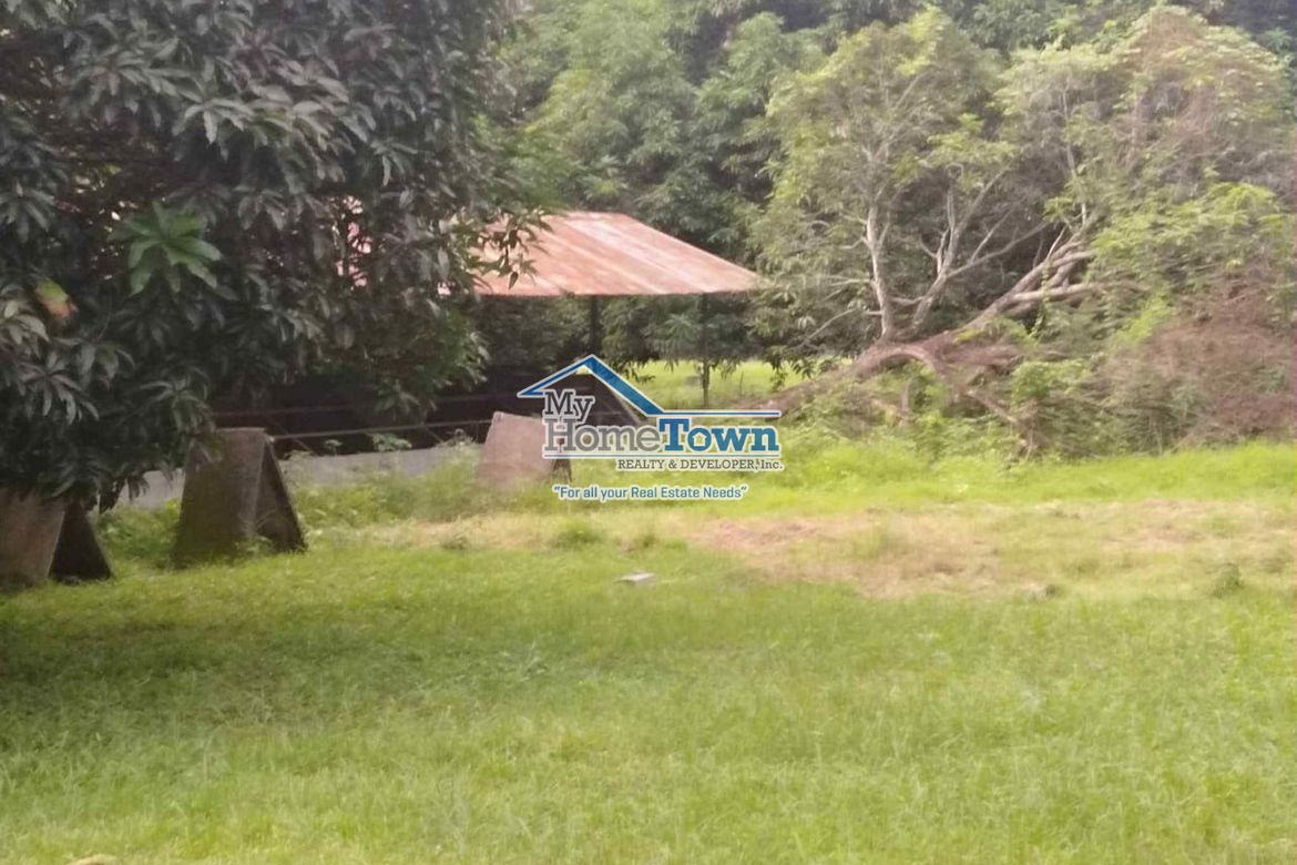 Land for Sale in Siling Bata, Pandi, Bulacan – photo 3