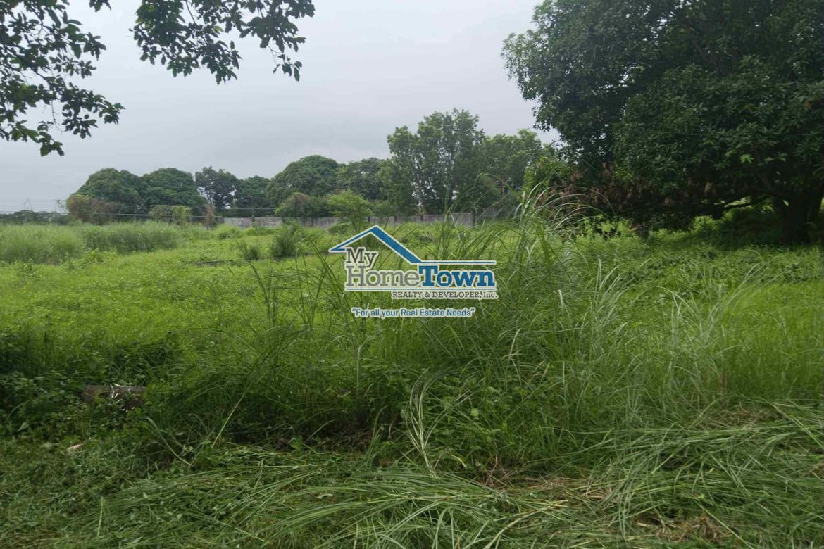 Land for Sale in Siling Bata, Pandi, Bulacan – photo 4