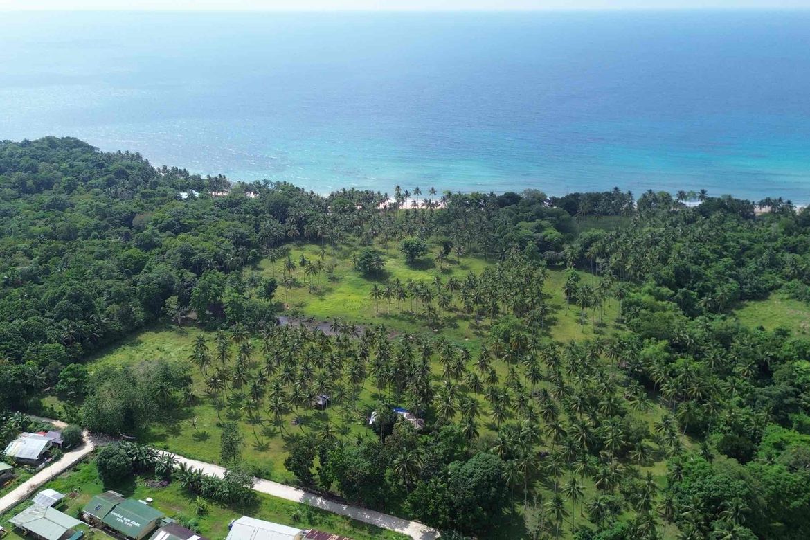 Land for Sale in Simpocan, Puerto Princesa, Palawan