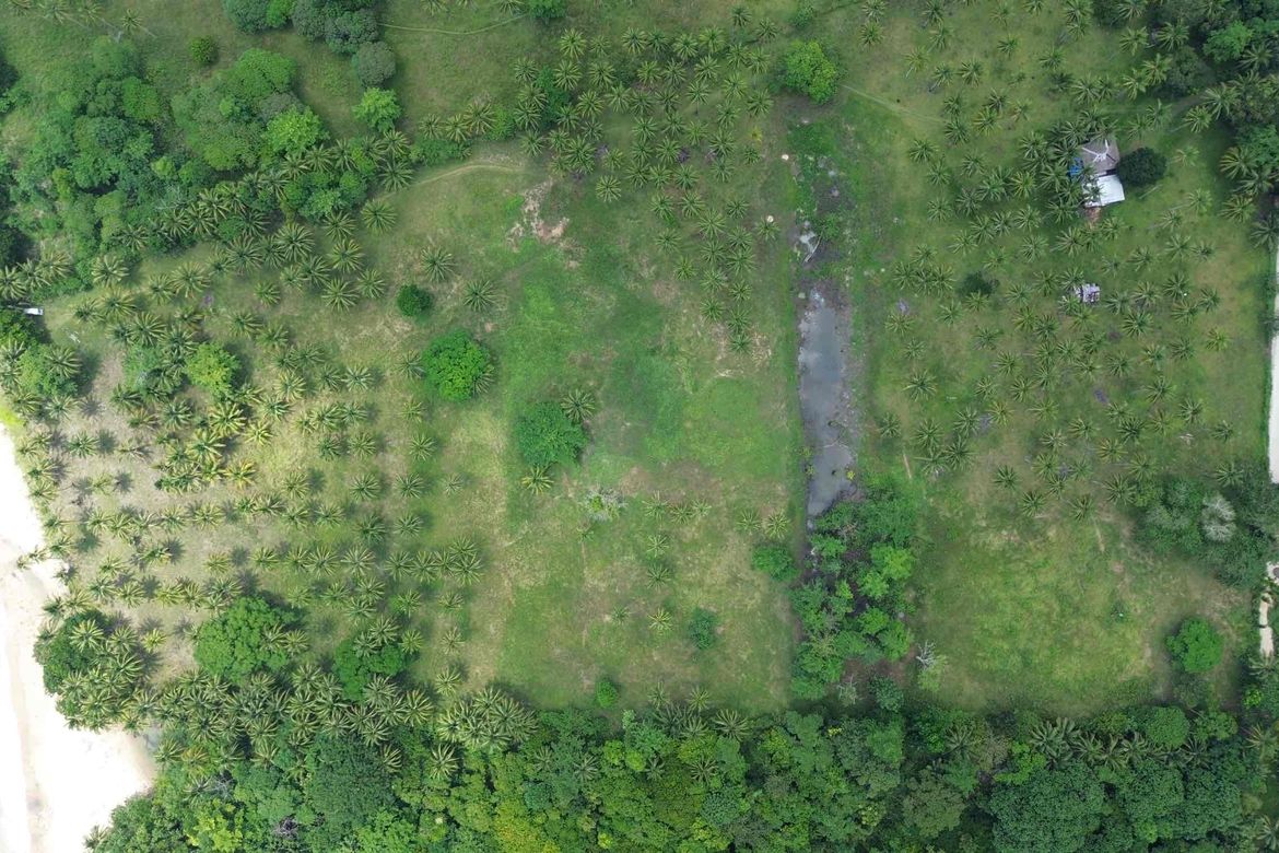 Land for Sale in Simpocan, Puerto Princesa, Palawan – photo 2