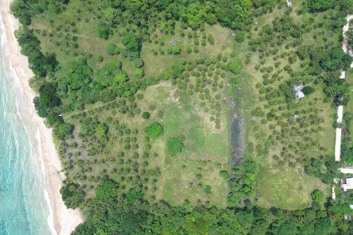 Land for Sale in Simpocan, Puerto Princesa, Palawan – photo 6