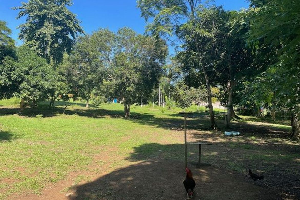 Land for Sale in Simpocan, Puerto Princesa, Palawan – photo 5