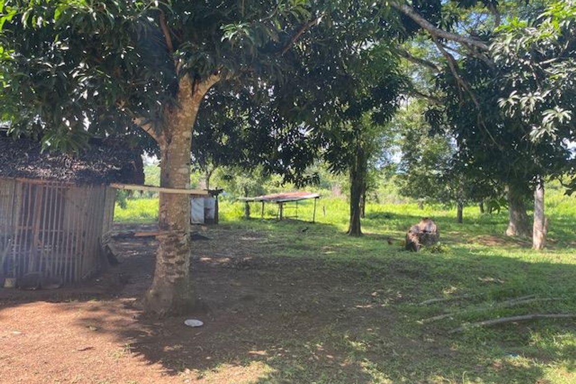 Land for Sale in Simpocan, Puerto Princesa, Palawan – photo 8