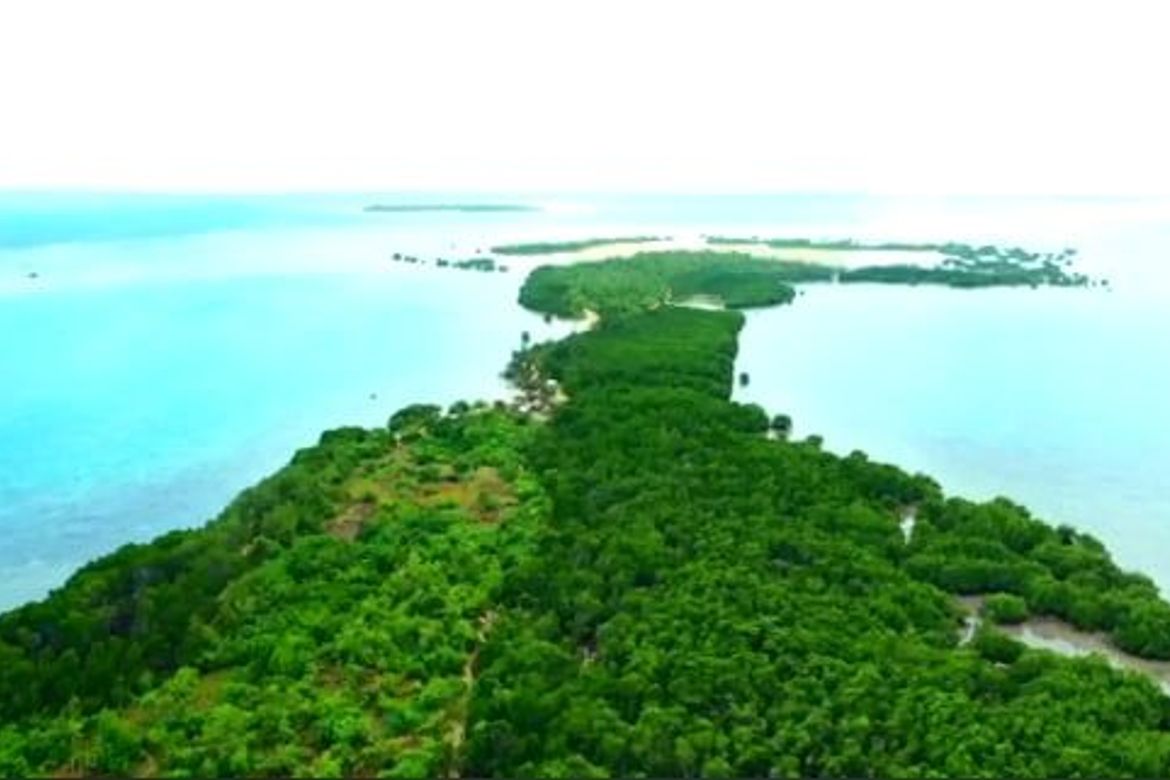 Land for Sale in Simpocan, Puerto Princesa, Palawan – photo 6