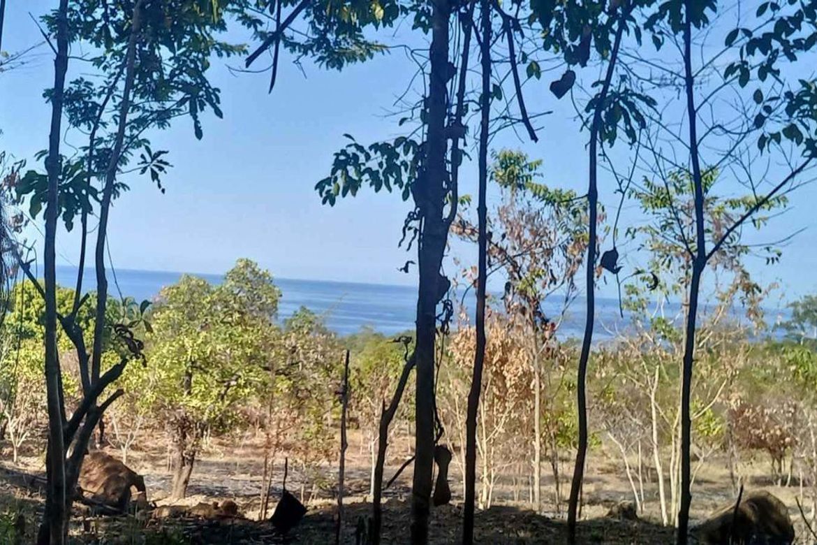Land for Sale in Simpocan, Puerto Princesa, Palawan