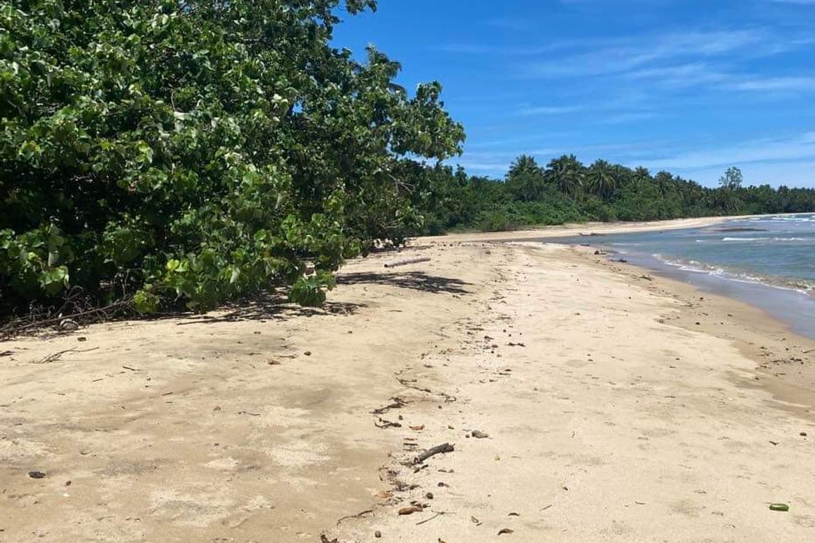 Land for Sale in Simpocan, Puerto Princesa, Palawan