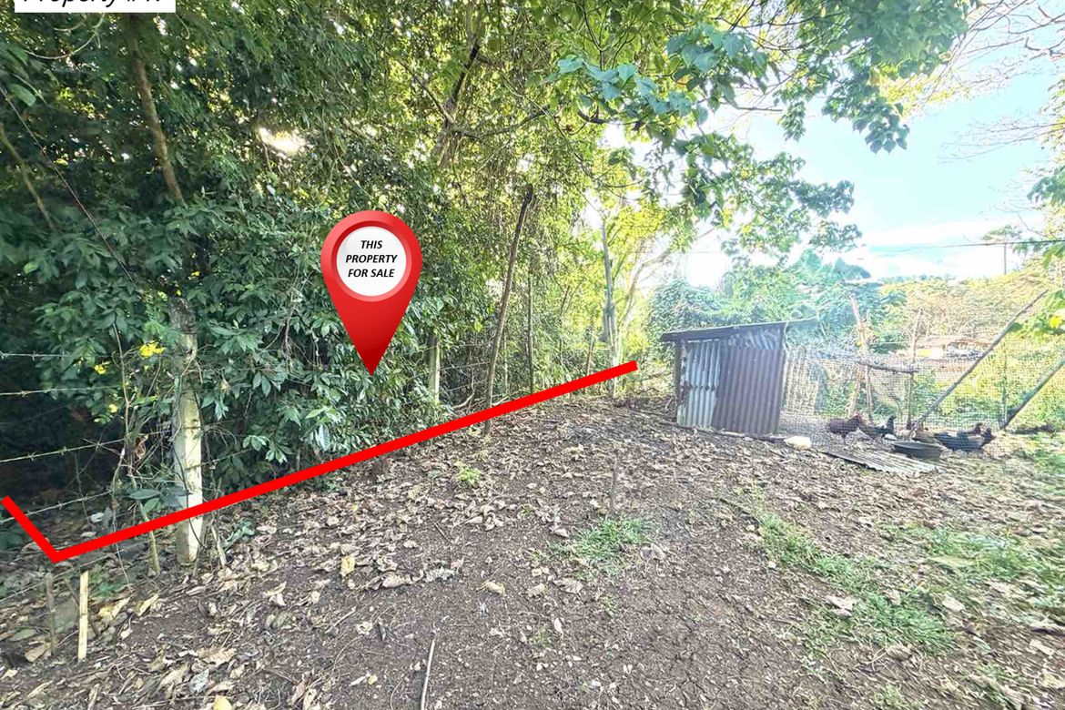 Land for Sale in Simpocan, Puerto Princesa, Palawan – photo 3