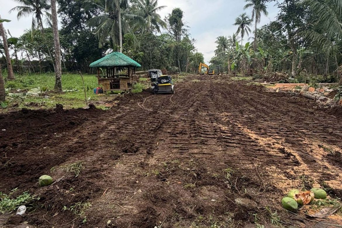 Land for Sale in Sinaliw Malaki, Alfonso, Cavite – photo 3