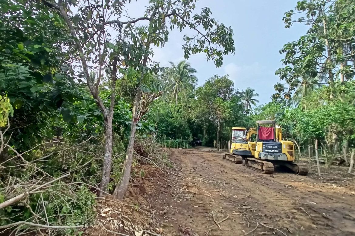 Land for Sale in Sinaliw Malaki, Alfonso, Cavite – photo 4