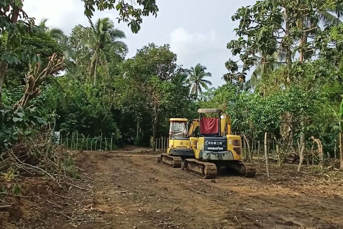 Land for Sale in Sinaliw Malaki, Alfonso, Cavite – photo 5