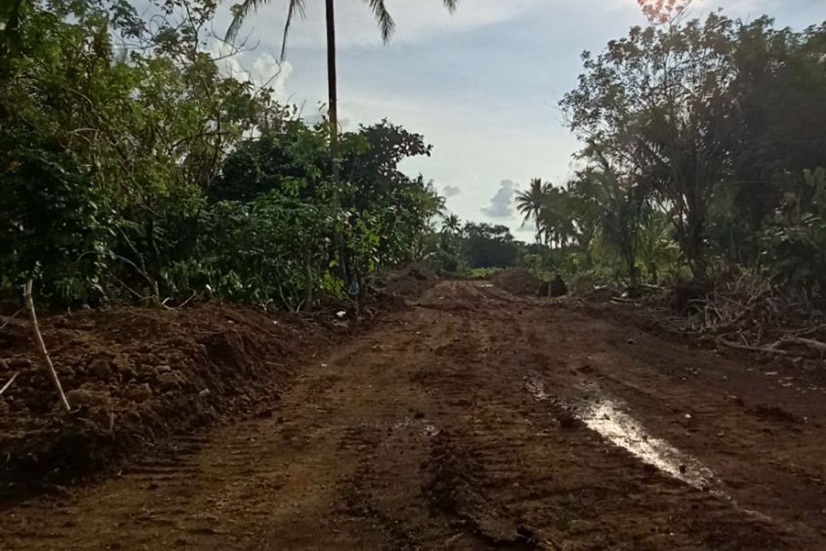 Land for Sale in Sinaliw Malaki, Alfonso, Cavite – photo 6