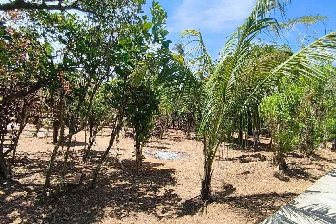 Land for Sale in Sinaliw Malaki, Alfonso, Cavite – photo 4