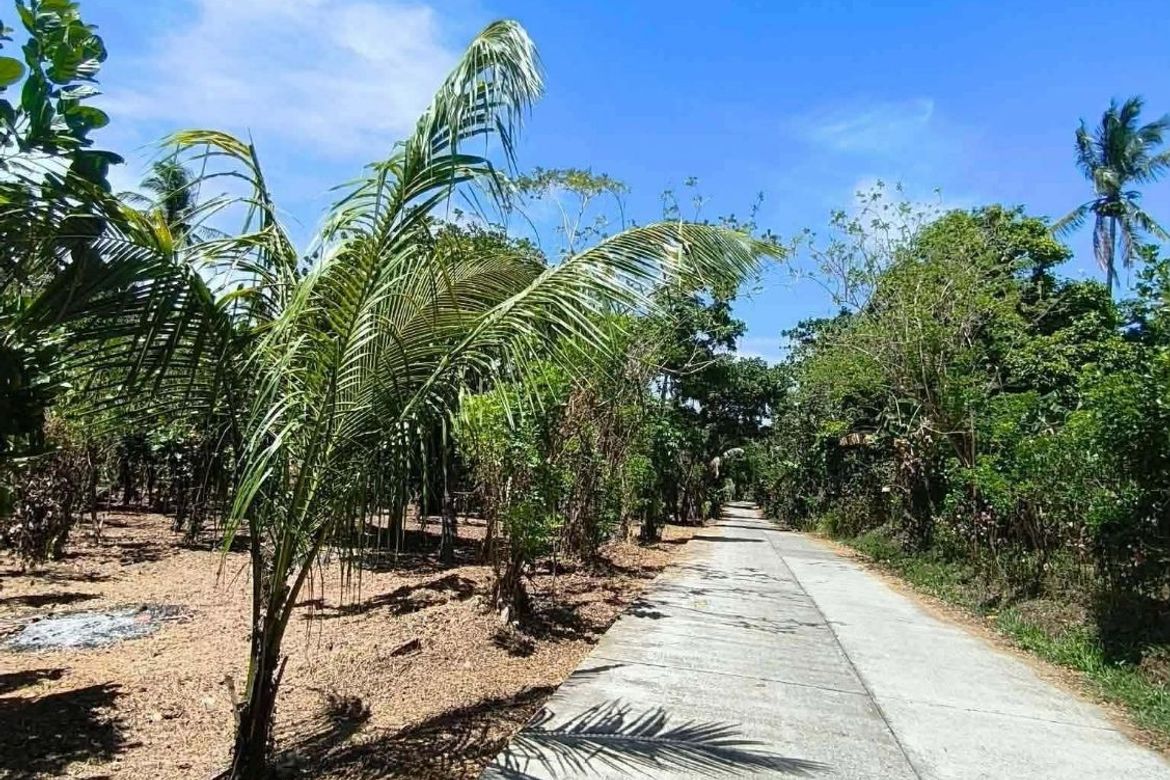 Land for Sale in Sinaliw Malaki, Alfonso, Cavite – photo 6