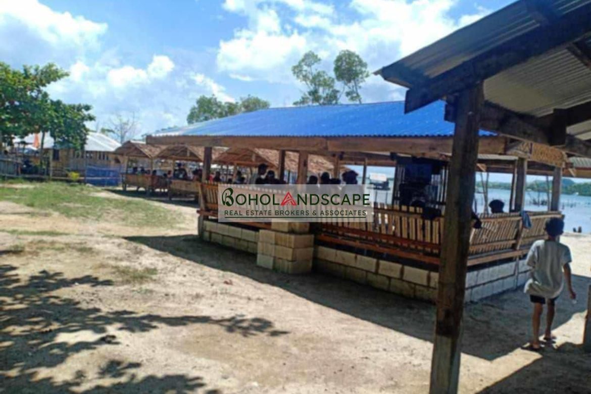 Land for Sale in Sinandigan, Ubay, Bohol – photo 3