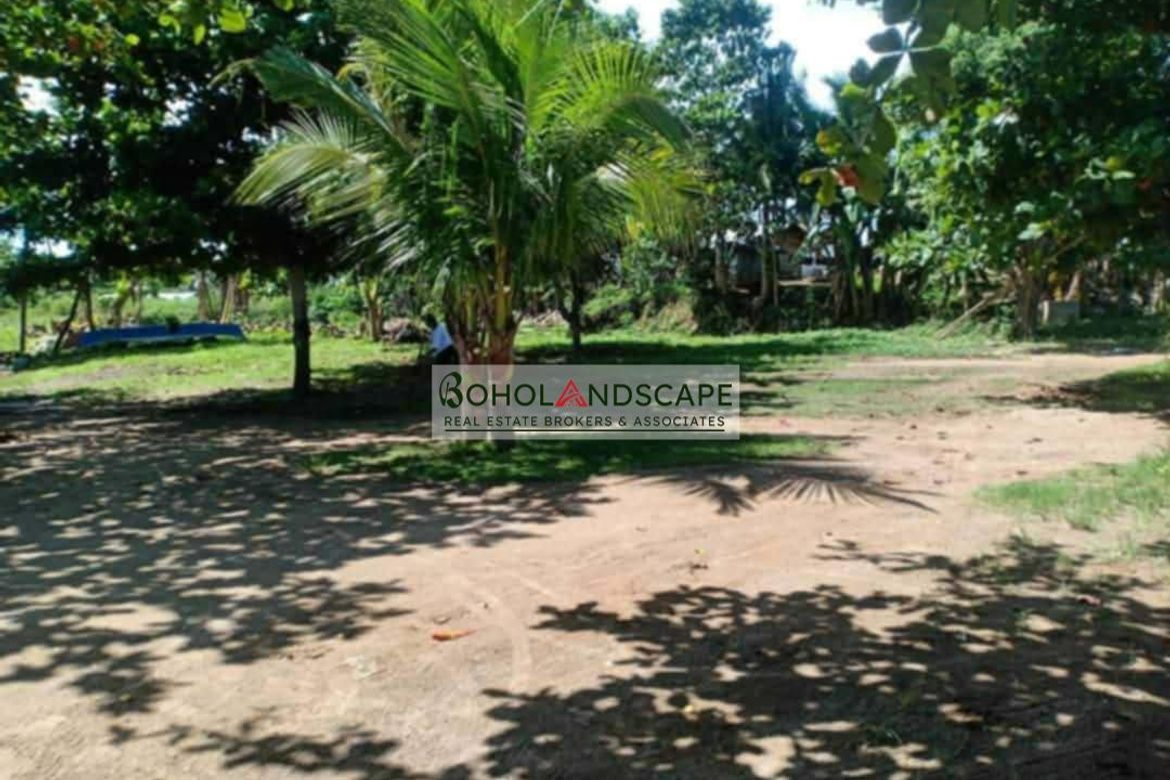 Land for Sale in Sinandigan, Ubay, Bohol – photo 5