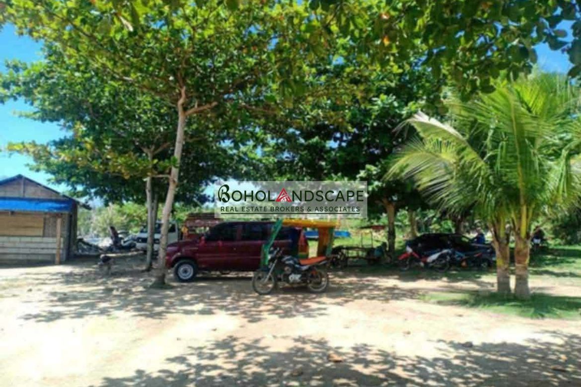 Land for Sale in Sinandigan, Ubay, Bohol – photo 6