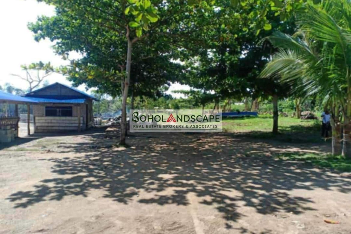 Land for Sale in Sinandigan, Ubay, Bohol – photo 8