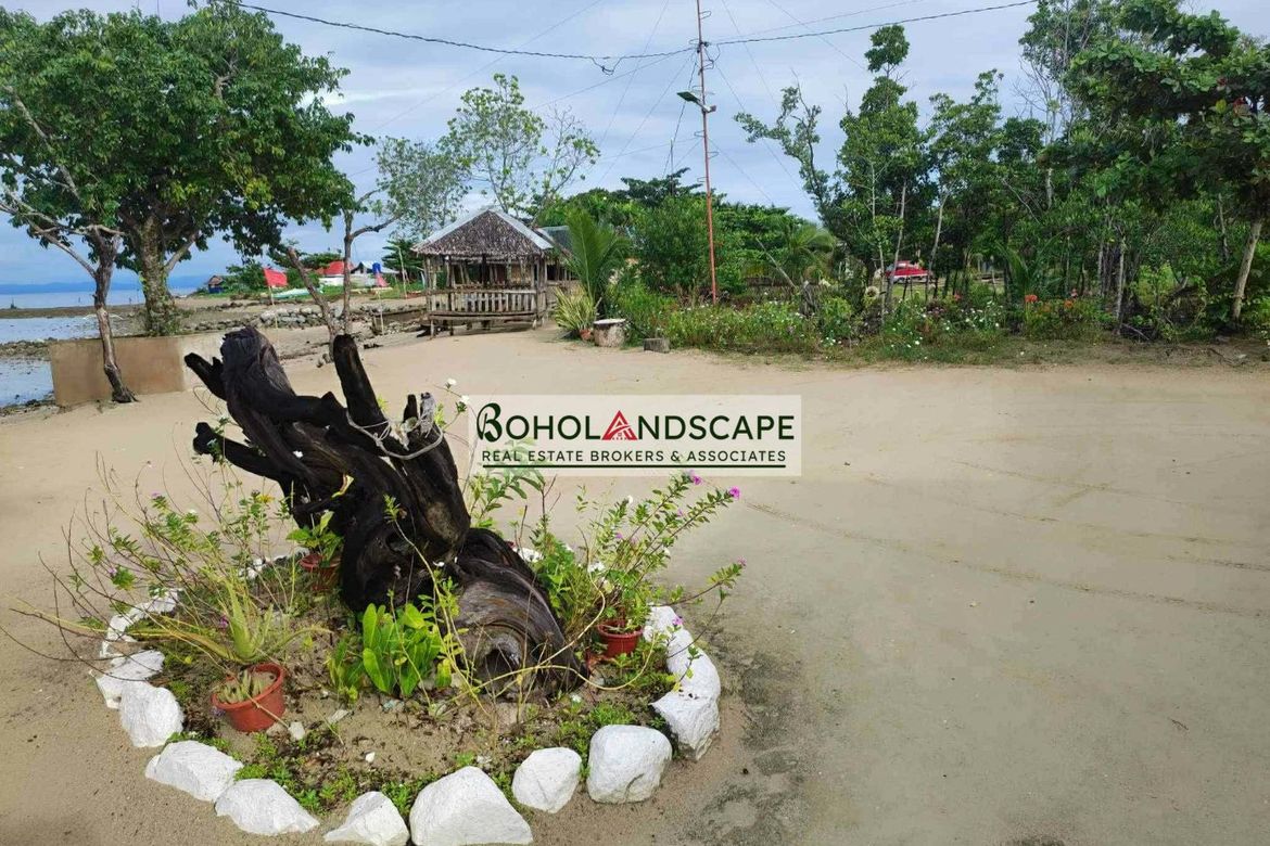 Land for Sale in Sinandigan, Ubay, Bohol – photo 5