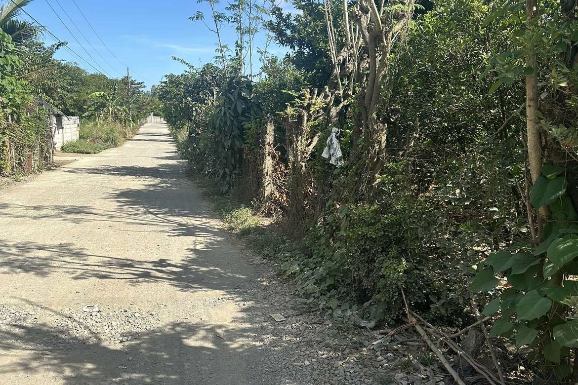 Land for Sale in Sinasajan, Peñaranda, Nueva Ecija – photo 4