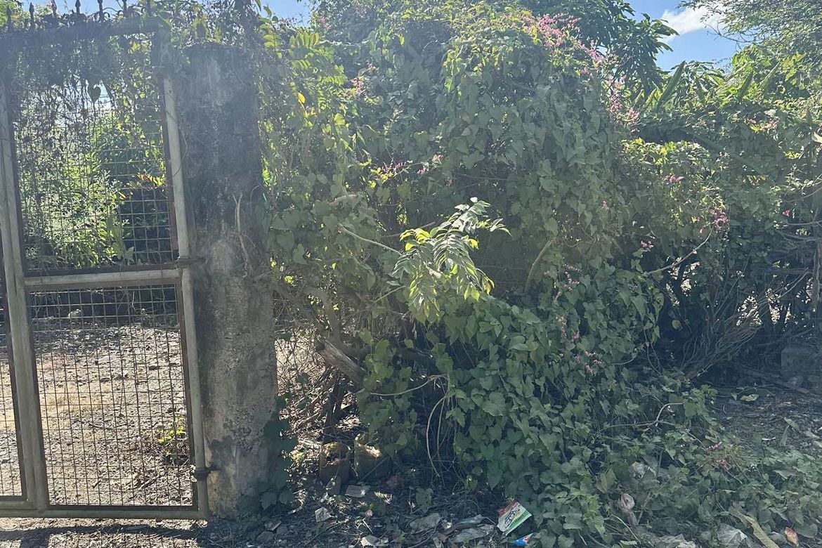 Land for Sale in Sinasajan, Peñaranda, Nueva Ecija – photo 5