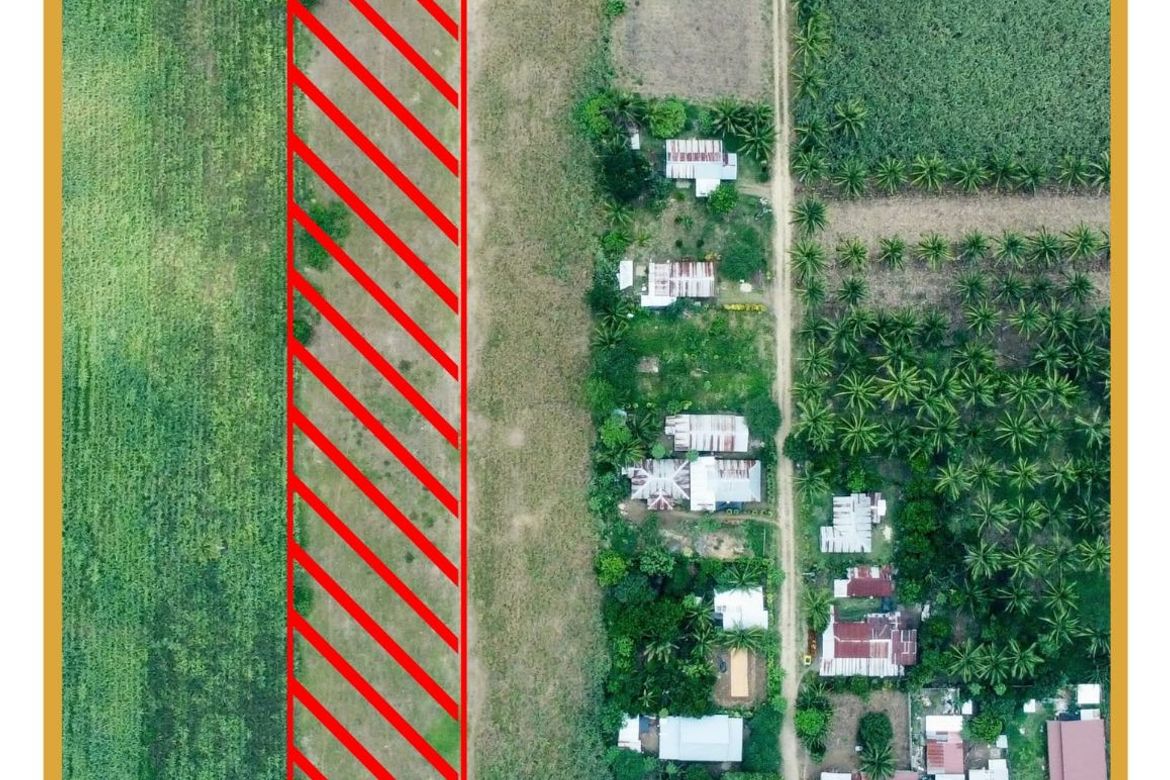 Land for Sale in Sinaysayan, Kitaotao, Bukidnon