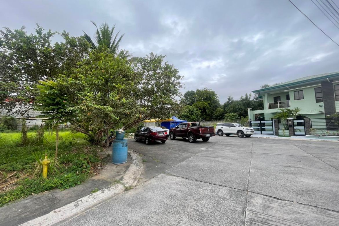 Land for Sale in Sindalan, San Fernando, Pampanga – photo 3