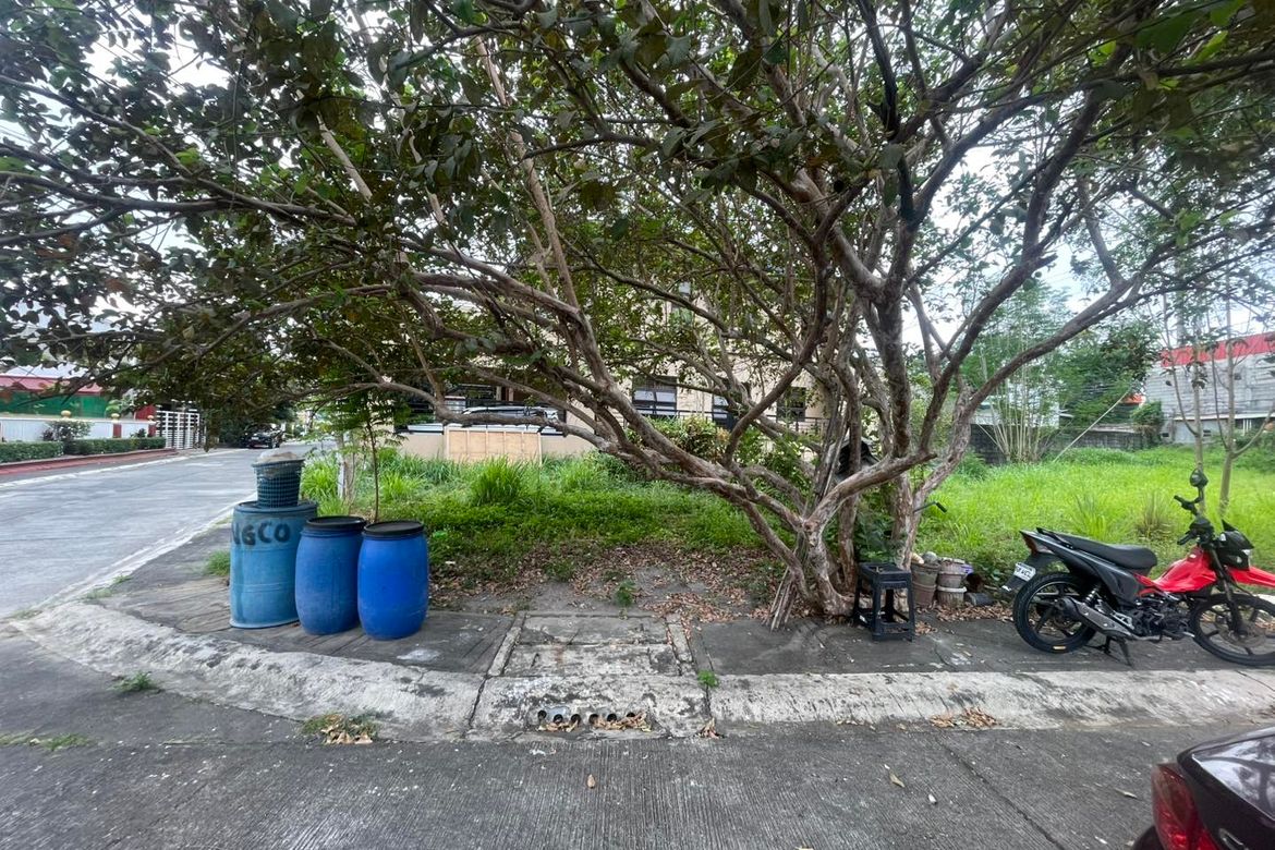 Land for Sale in Sindalan, San Fernando, Pampanga – photo 4